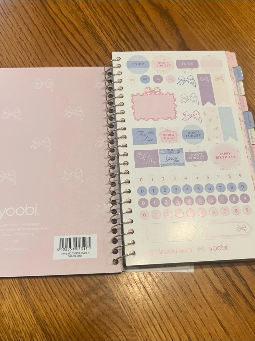 LoveShackFancy x Target Light Blue Floral Weekly/Monthly Planner with Gold Foi